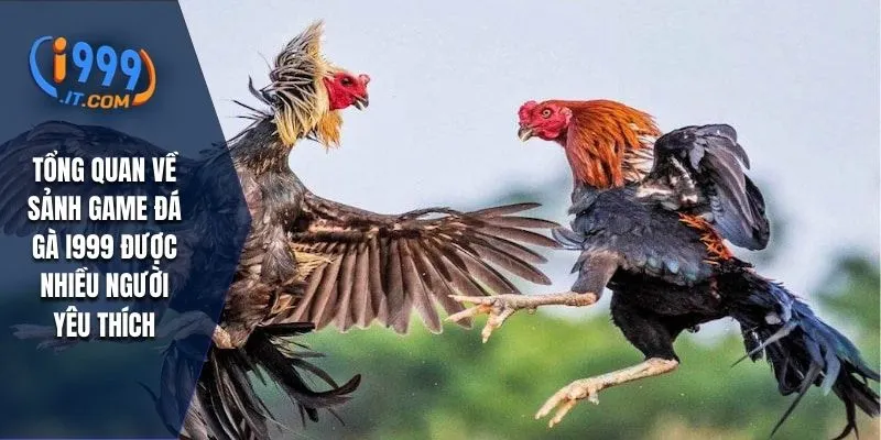 Đá Gà i999 - Môn Thể Thao Đặc Sắc Và Cơ Hội Thắng Lớn 1 Tổng quan về sảnh game đá gà I999 được nhiều người yêu thích